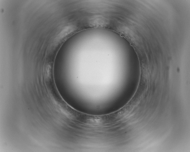 X0000088640071200705251508