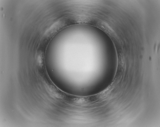 X0000088640074200705251508