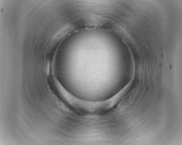 X0000088640076200705251508