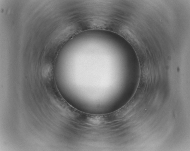 X0000088640079200705251508
