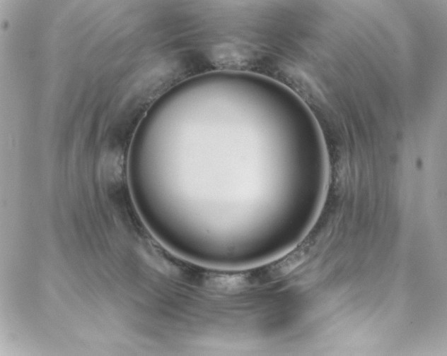 X0000088640081200705251508