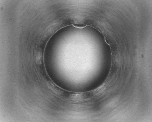 X0000088640082200705251508
