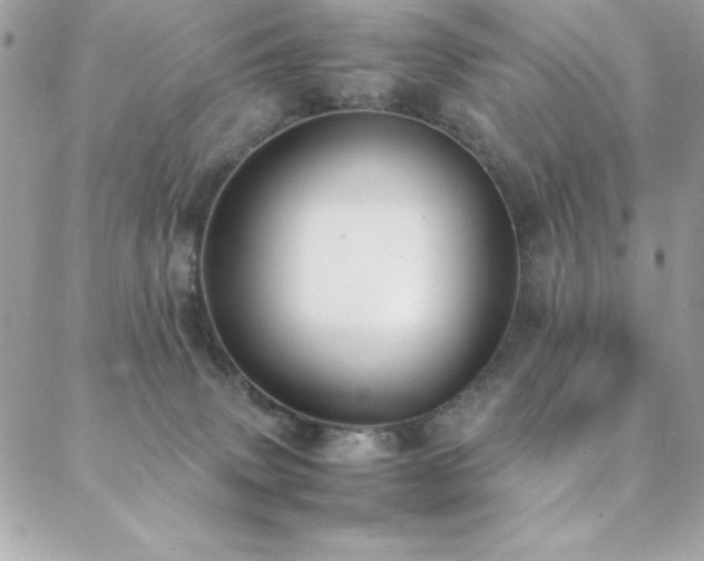 X0000088640083200705251508