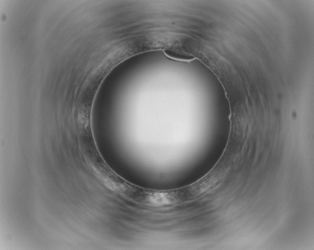 X0000088640091200705251508