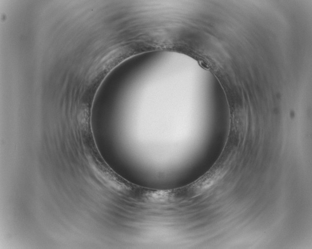 X0000088640092200705251508