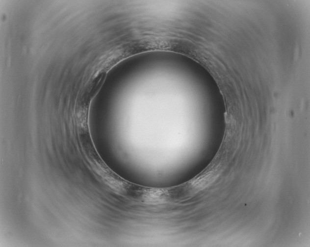 X0000088640096200705251508