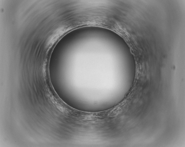 X0000088640098200705251508