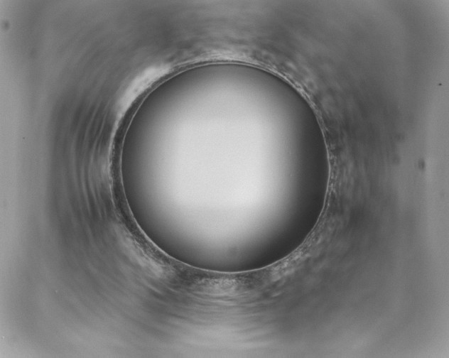 X0000088640104200705251507