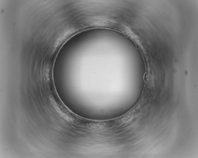 X0000088640106200705251507