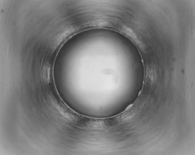 X0000088640110200705251507
