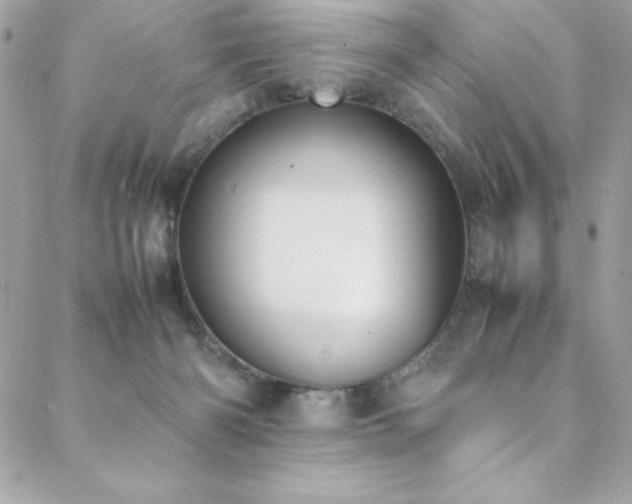 X0000088640126200705251507