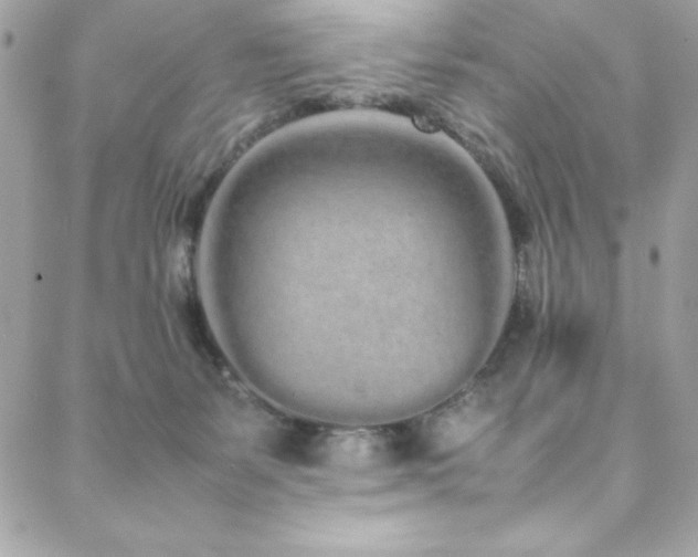 X0000088640127200705251507