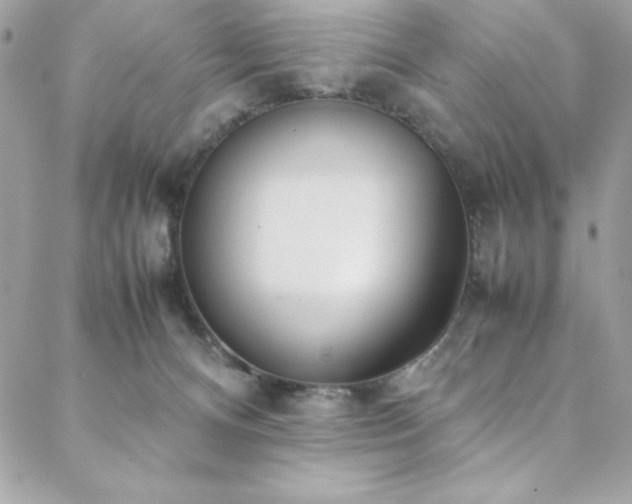 X0000088640128200705251507