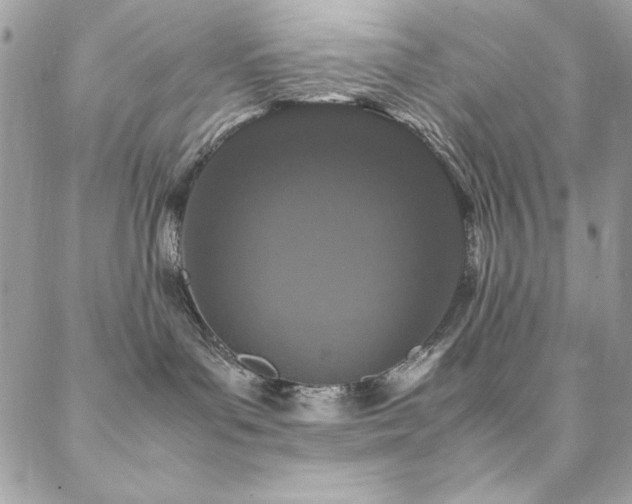 X0000088640143200705251507