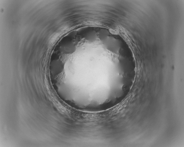 X0000088640145200705251506