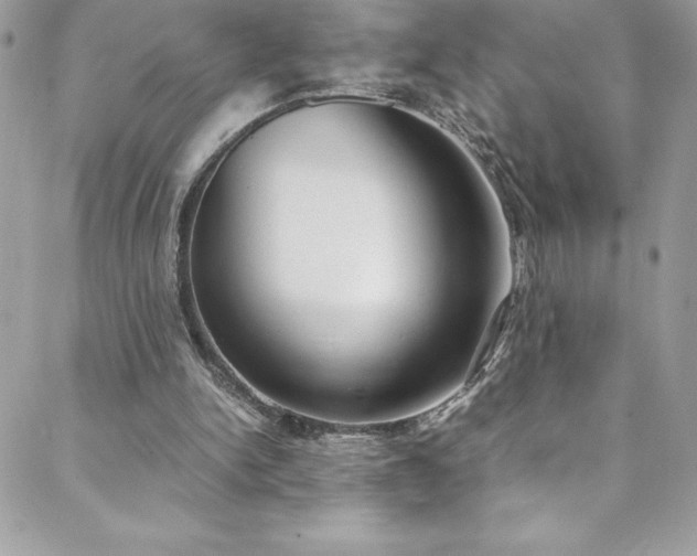X0000088640150200705251506