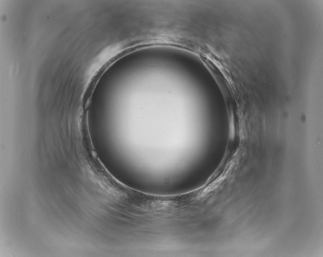 X0000088640152200705251506