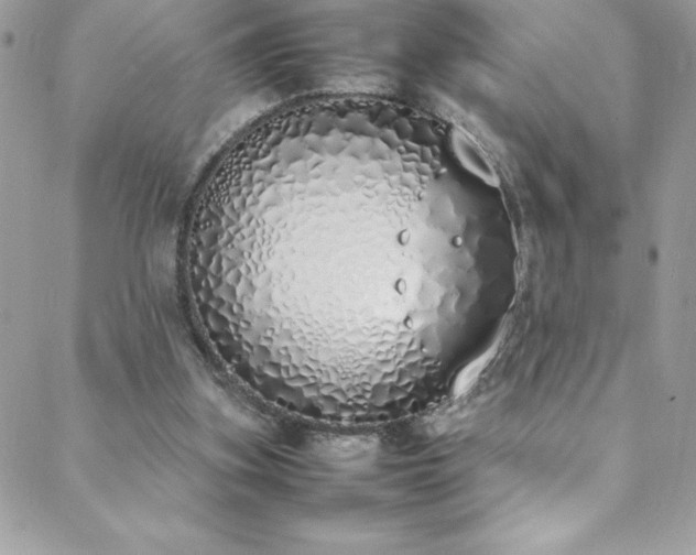 X0000088640155200705251506