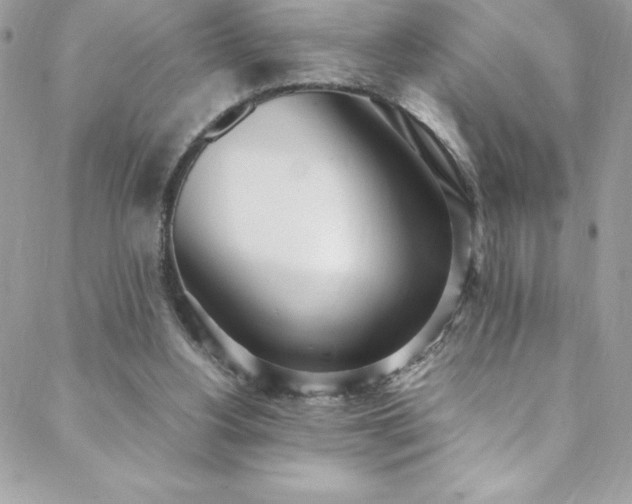 X0000088640156200705251506