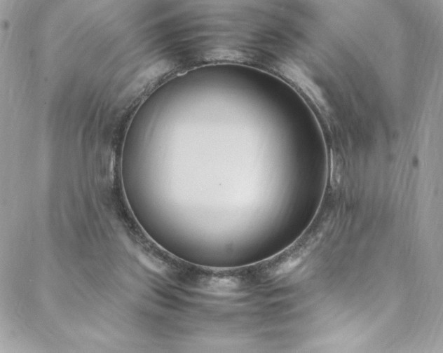 X0000088640157200705251506