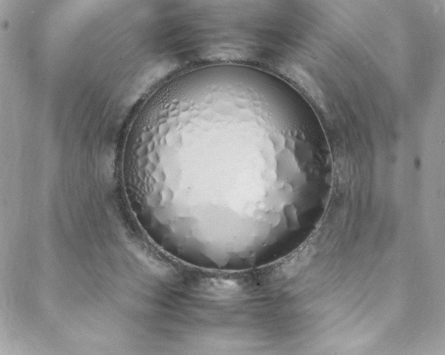 X0000088640159200705251506