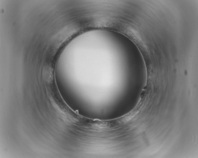 X0000088640164200705251506
