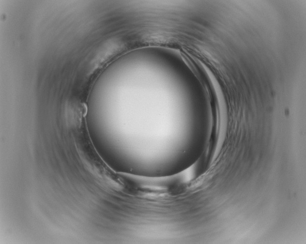 X0000088640168200705251506