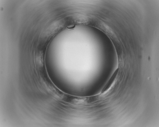 X0000088640170200705251506