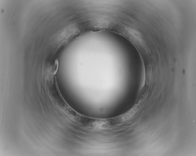 X0000088640172200705251506