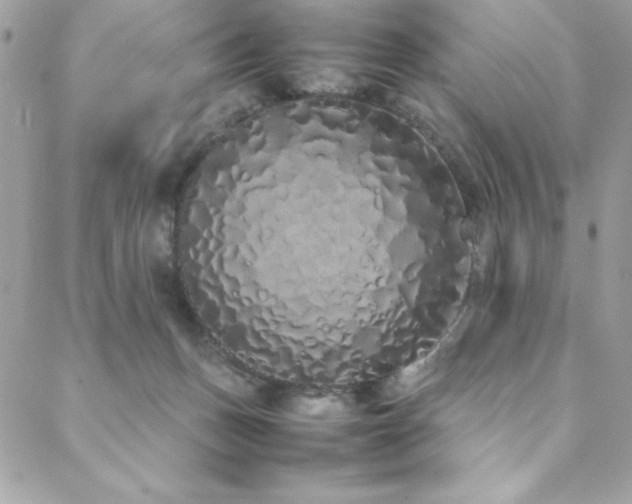X0000088640175200705251507