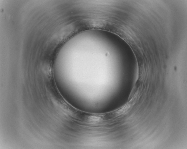 X0000088640176200705251507