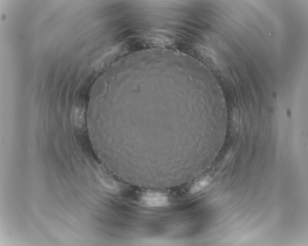 X0000088640177200705251507