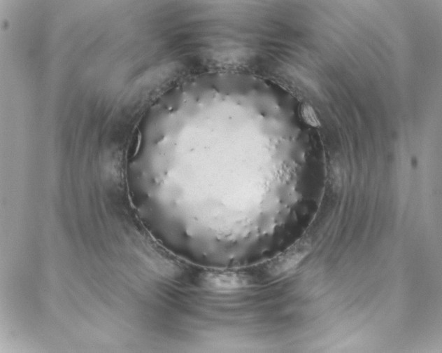X0000088640181200705251507