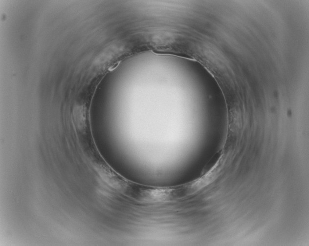 X0000088640184200705251507