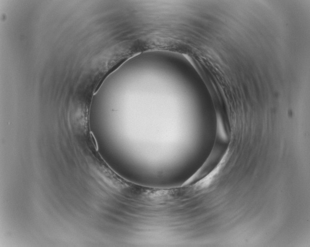 X0000088640186200705251507