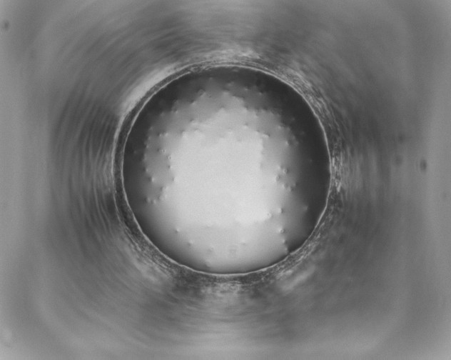 X0000088640196200705251506