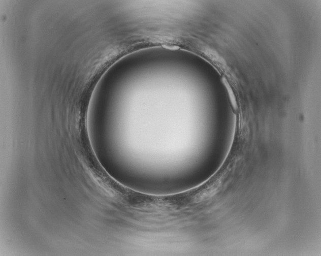 X0000088640201200705251506