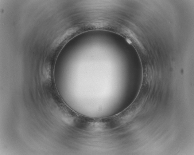 X0000088640212200705251506