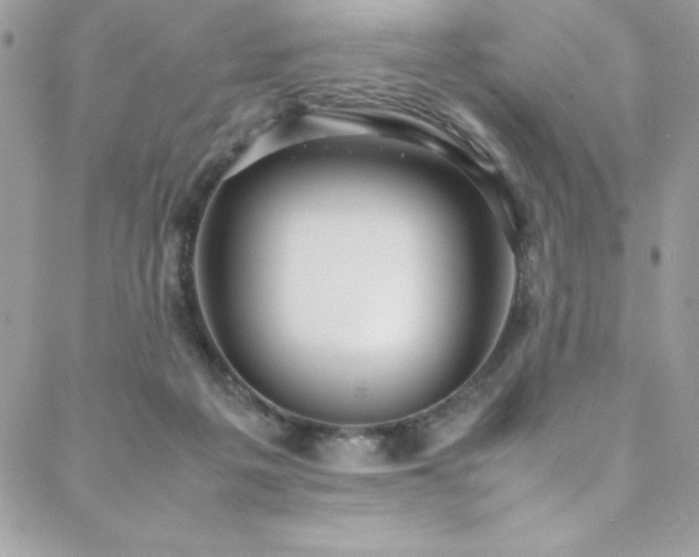 X0000088640217200705251506