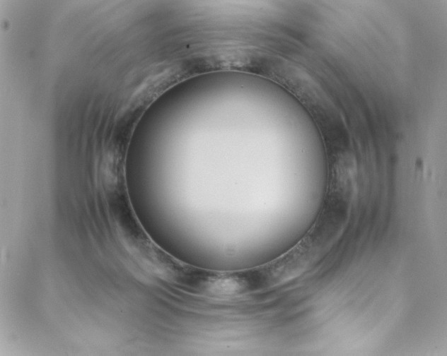 X0000088640218200705251506