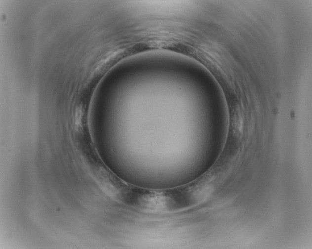X0000088640219200705251506