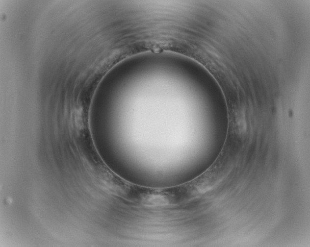 X0000088640224200705251506