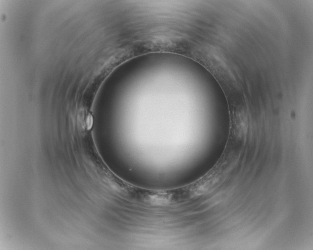 X0000088640232200705251505