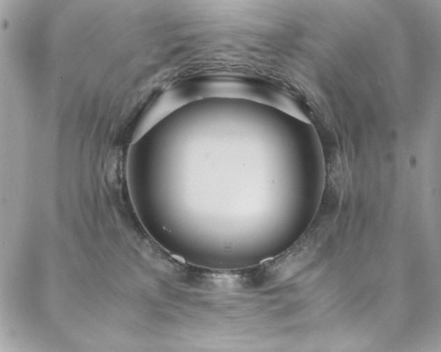 X0000088640233200705251505