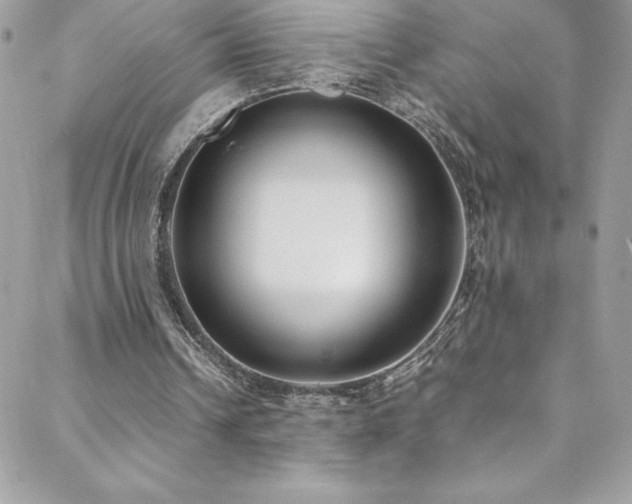 X0000088640242200705251504