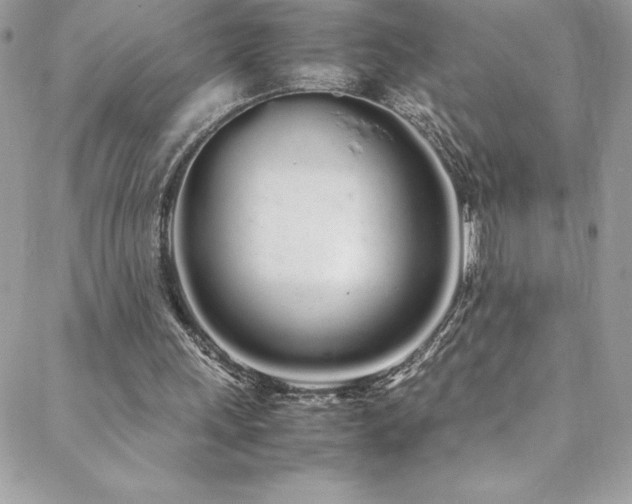 X0000088640243200705251504