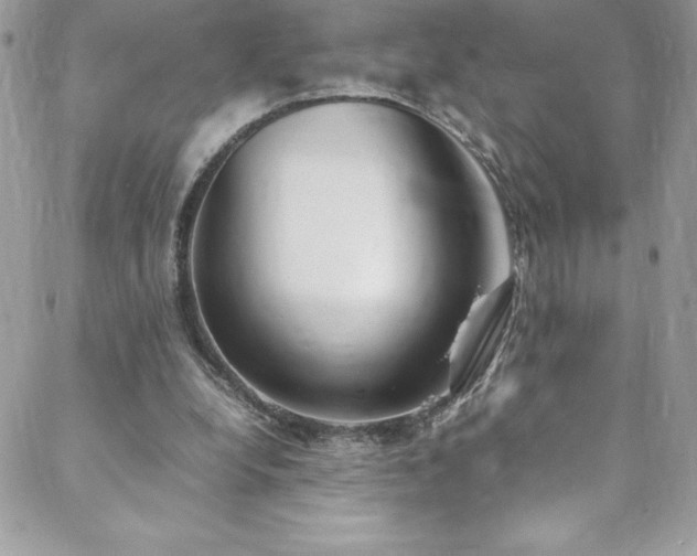 X0000088640248200705251505