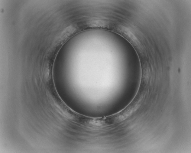 X0000088640261200705251505