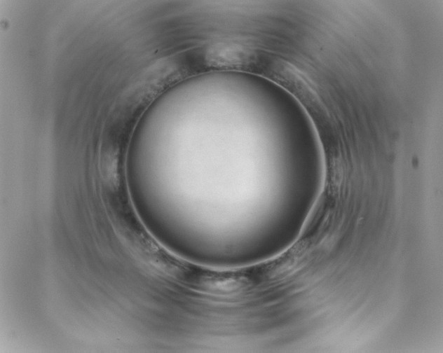 X0000088640267200705251505