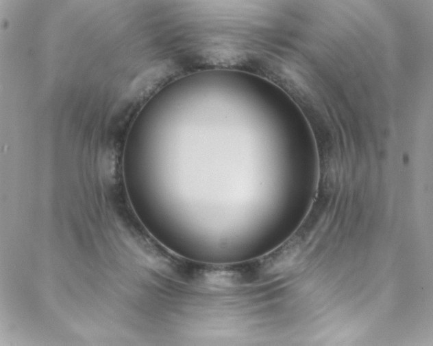 X0000088640268200705251505